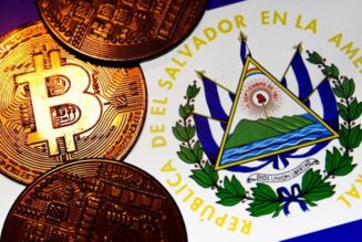 El Salvador Buys Another 500 Bitcoins as Price Drops Below $31,000 USD