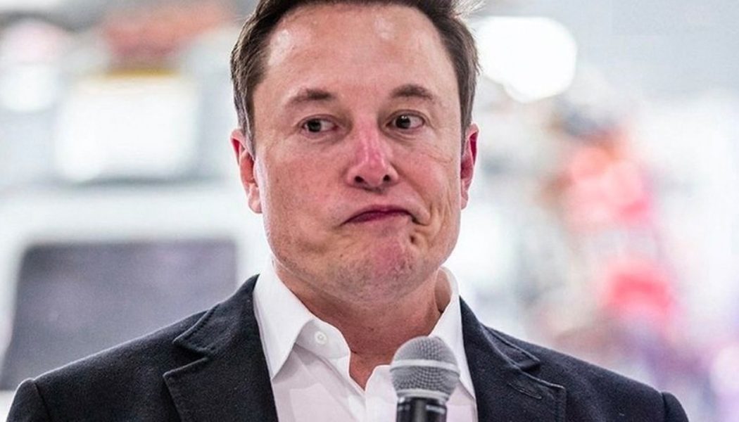 Elon Musk Puts Twitter Deal on Hold, Causes 20% Plummet in Stock Price