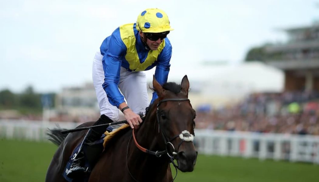 Epsom Derby Betting News | Desert Crown New Favourite After Dante Win