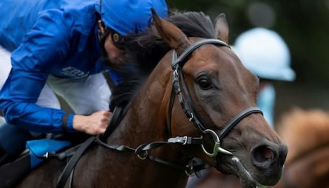 Irish 2000 Guineas Trends & Tips | Best Bets For Saturday’s Curragh Race