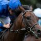 Irish 2000 Guineas Trends & Tips | Best Bets For Saturday’s Curragh Race