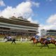 ITV Racing Tips & Trends | Newbury Horse Racing Best Bets: Sat 14th May