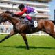 ITV Racing Tips & Trends | York Horse Racing Best Bets: Weds 11th May