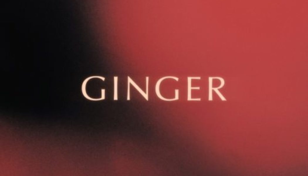 King Promise – Ginger