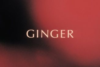 King Promise – Ginger