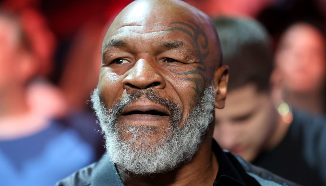 Mike Tyson Beats Charges For Slugging Unruly Plane Pest