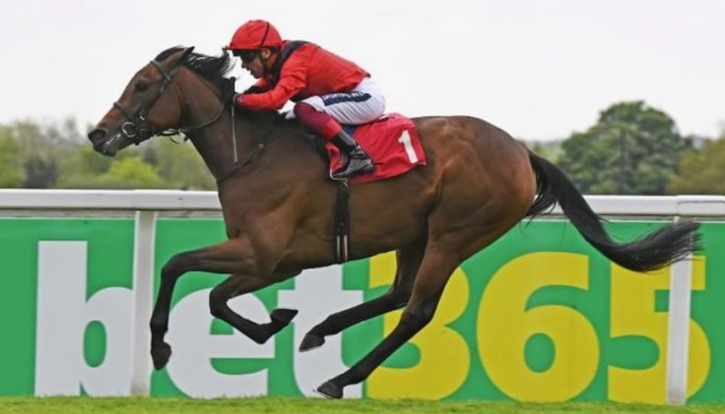 Musidora Stakes Trends & Tips | Best Bets For Wednesday’s York Race