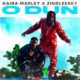 Naira Marley ft Zinoleesky – O’dun Lyrics