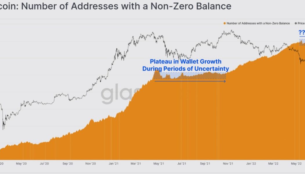 On-chain data shows Bitcoin long-term holders continuing to ‘soak up supply’ around $30K