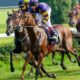 Racing Tips: Andrew Mount’s Saturday Picks – May 28th