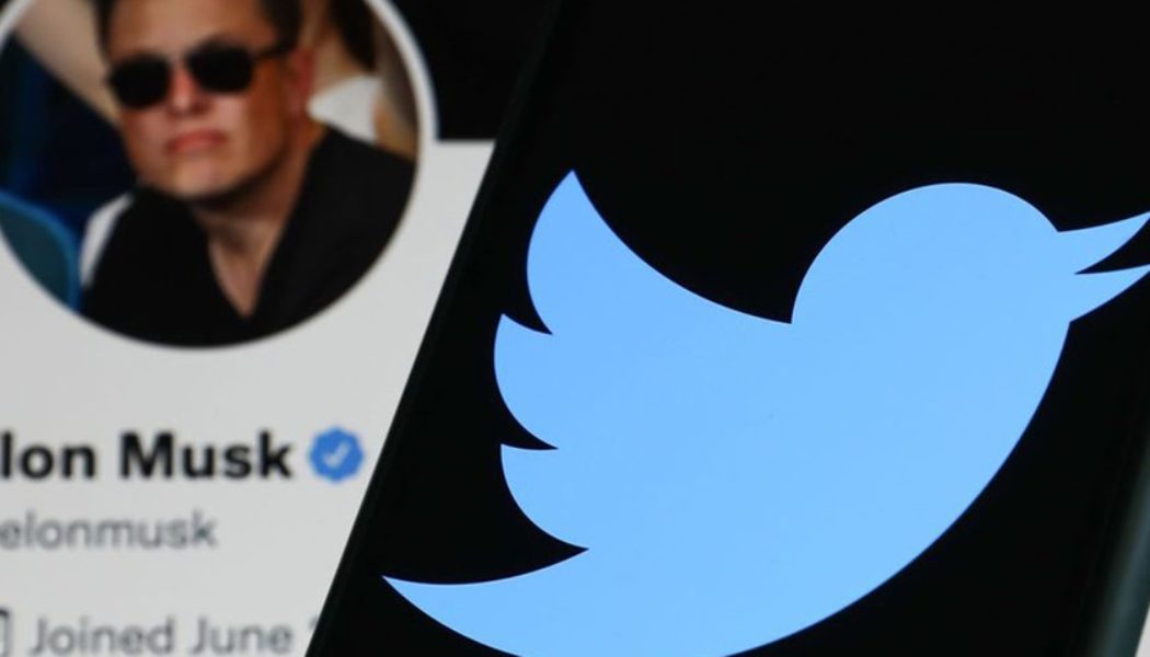 Twitter CEO Parag Agrawal Responds to Elon Musk Putting Deal on Hold