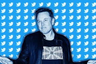 Twitter shareholder sues Elon Musk for tanking the company’s stock