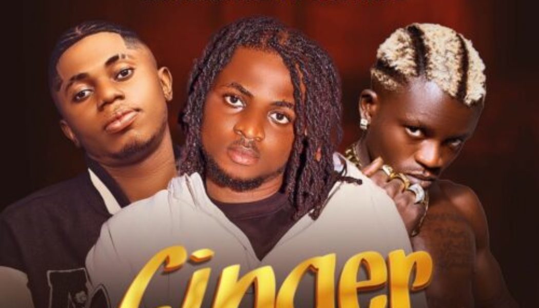 Vickyreign ft Portable & DJ Yk Beats – Ginger