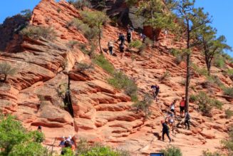 When nature calls: why going to the toilet in the outdoors may be about to change