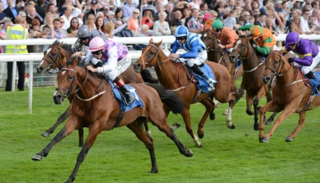 York Lucky 15 Tips: Four Horse Racing Best Bets on Friday 13th May