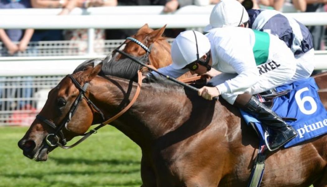 York Lucky 15 Tips: Four Horse Racing Best Bets on Thursday 12th May