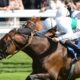 York Lucky 15 Tips: Four Horse Racing Best Bets on Thursday 12th May