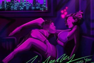 Zinoleesky – Loving You