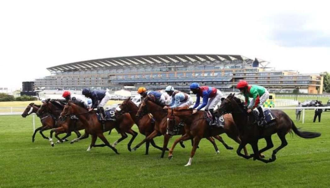 2022 Royal Ascot Trends and Tips | Day Two Ascot Best Bets (Weds 15th)