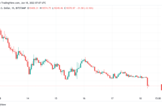 Bitcoin price falls below $20K for first time since 2020, Ethereum dips under $1K