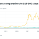 ‘Buy Bitcoin, plant a tree, lower your time preference’: a Sequoia story