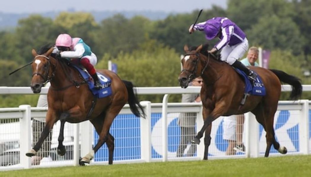 Coral Eclipse Winners | Six Top Sandown Scorers From Last 30 Years