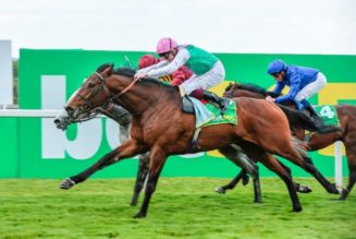 Irish Derby Trends & Tips | Best Bets For Saturday’s Curragh Race