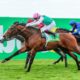 Irish Derby Trends & Tips | Best Bets For Saturday’s Curragh Race