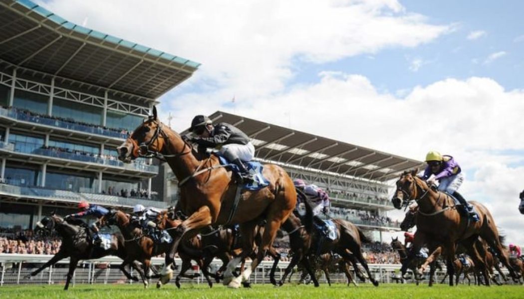 ITV Racing Tips and Trends | York and Sandown Best Bets: Sat 11th June