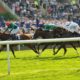 ITV Racing Trends | Newcastle & Newmaket Tips For Sat 25th June