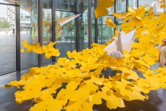 JeeYoung Lee Comments on the Passage of Time in New Installation