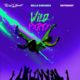 Krizbeatz ft Bella Shmurda & Rayvanny – Wild Party