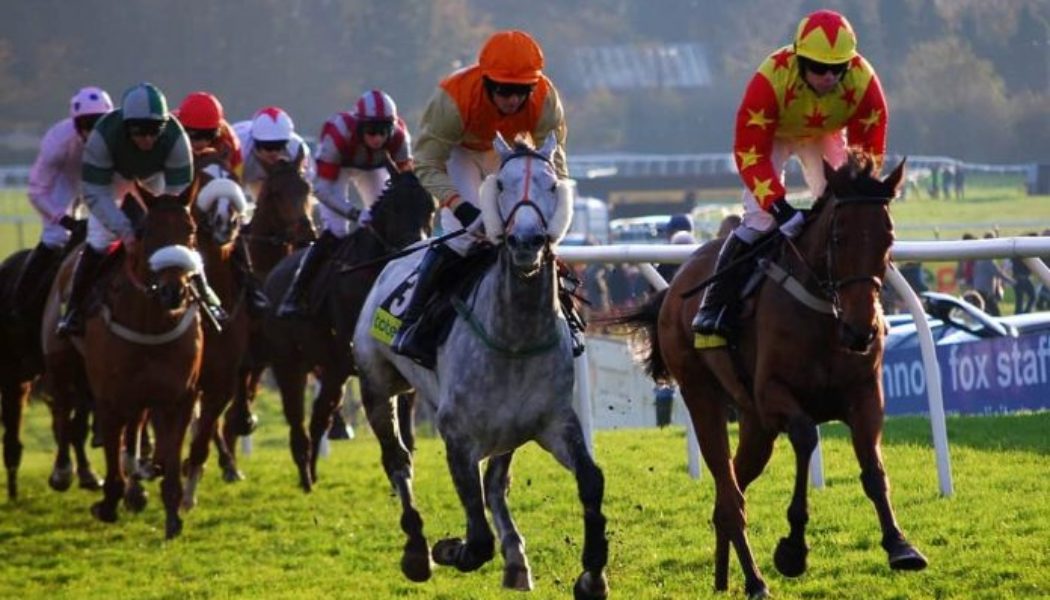 Lucky 15 Horse Racing Tips Today: Four Best Bets on Mon 27th June