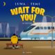 Luwa x Tems – Wait For You