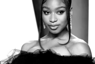 Normani’s Appearance In Chris Brown’s New Video Is Not Receiving A Warm Embrace On Twitter