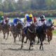 Northumberland Plate Trends & Tips | Best Bets For Newcastle Race