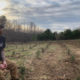 Odd Jobs: Four Year Strong’s Alan Day May Be the Youngest Christmas Tree Farmer in Massachusetts