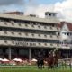 Old Newton Cup 2022 | Which Horses Have The Best Chance Of Winning?