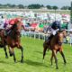 Paul Kealy Epsom Horse Racing Tips | 2022 Cazoo Epsom Derby Bets