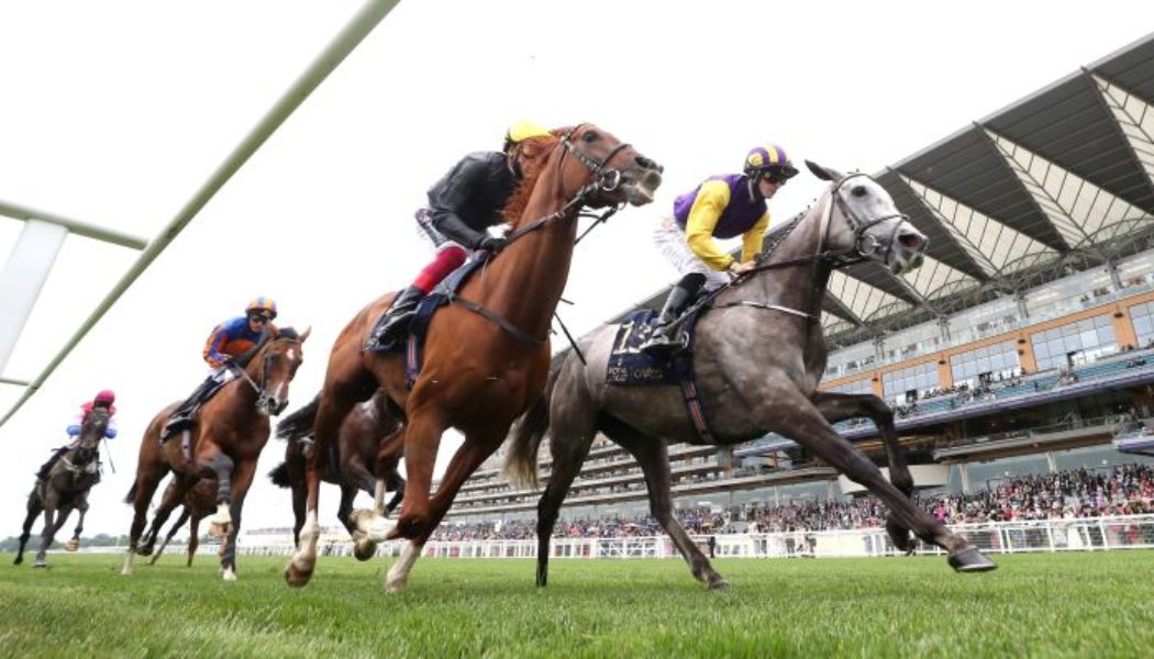 Royal Ascot Ante Post Tips 2022 – Three Each Way Plays from Tipsters