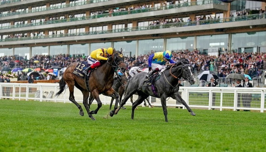 Royal Ascot Lucky 15 Tips Today: Four Best Bets on Friday 17th June