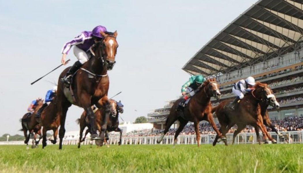 Royal Ascot Lucky 15 Tips Today: Four Best Bets on Saturday 18th June