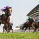 Royal Ascot Lucky 15 Tips Today: Four Best Bets on Saturday 18th June