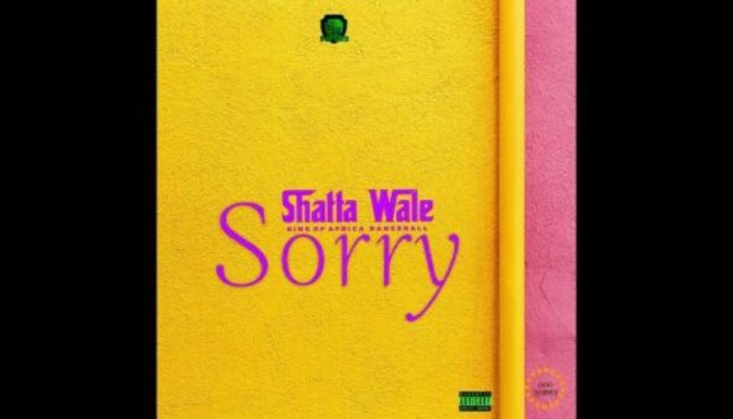 Shatta Wale – Sorry