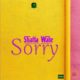 Shatta Wale – Sorry