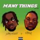 Superwozzy ft Otega – Many Things (Remix)