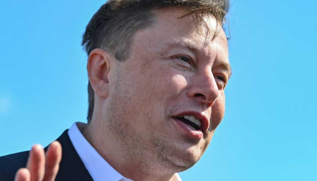 Tesla chief Elon Musk and Doge co-founder Jackson Palmer have a spat