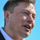 Tesla chief Elon Musk and Doge co-founder Jackson Palmer have a spat