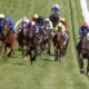 Top 7 New Epsom Derby Betting Sites With Horse Racing Free Bets