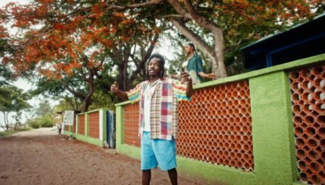 VIDEO: Naira Marley – Montego Bay